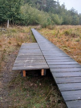 IMG-20251007-WA0000