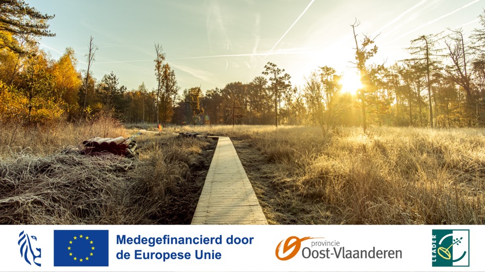 Liggende foto Leader Wandelen over een spons 2025